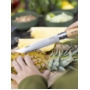 Opinel Zestaw Grillowy Brochable 002731